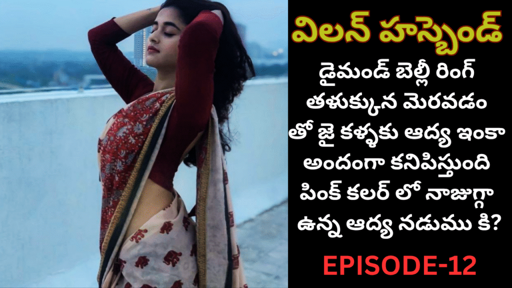 విలన్ హస్బెండ్ -12