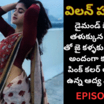 విలన్ హస్బెండ్ -12