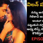 విలన్ హస్బెండ్-13