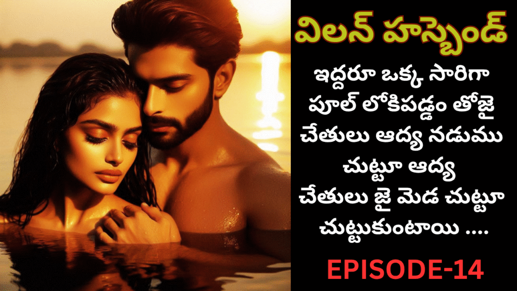 విలన్ హస్బెండ్ -14