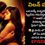 విలన్ హస్బెండ్-6