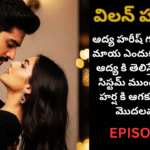 విలన్ హస్బెండ్-15