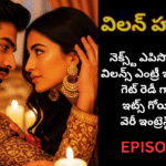 విలన్ హస్బెండ్-16