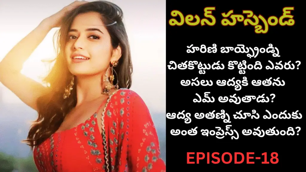 విలన్ హస్బెండ్-18