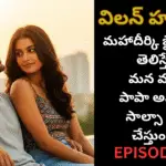 విలన్ హస్బెండ్-20