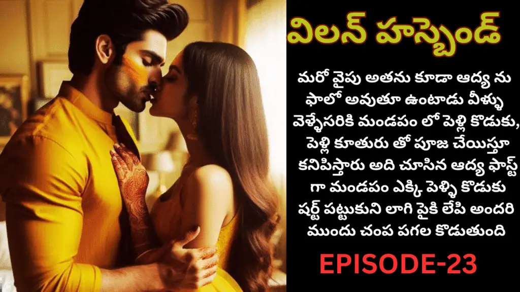 విలన్ హస్బెండ్ – 23