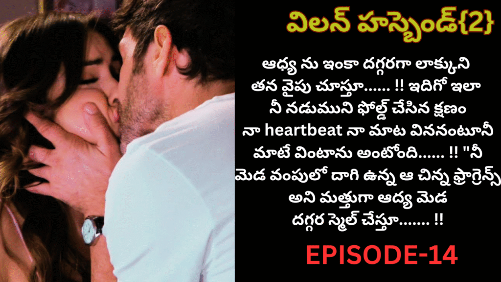 విలన్ హస్బెండ్{2} -14