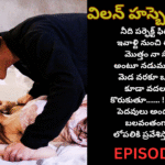 విలన్ హస్బెండ్ {2}-22