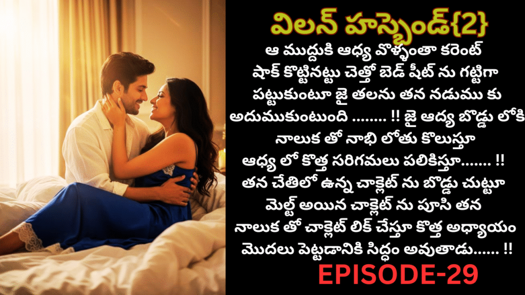 విలన్ హస్బెండ్{2} -29